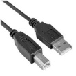 Cable USB A/B